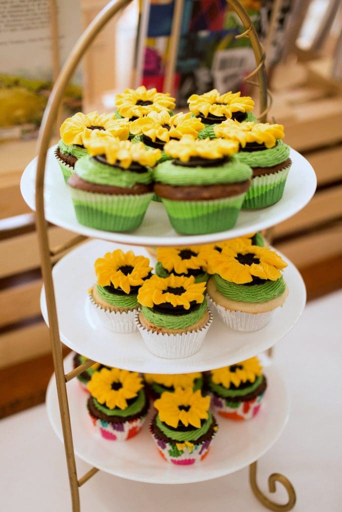 cupcakes1