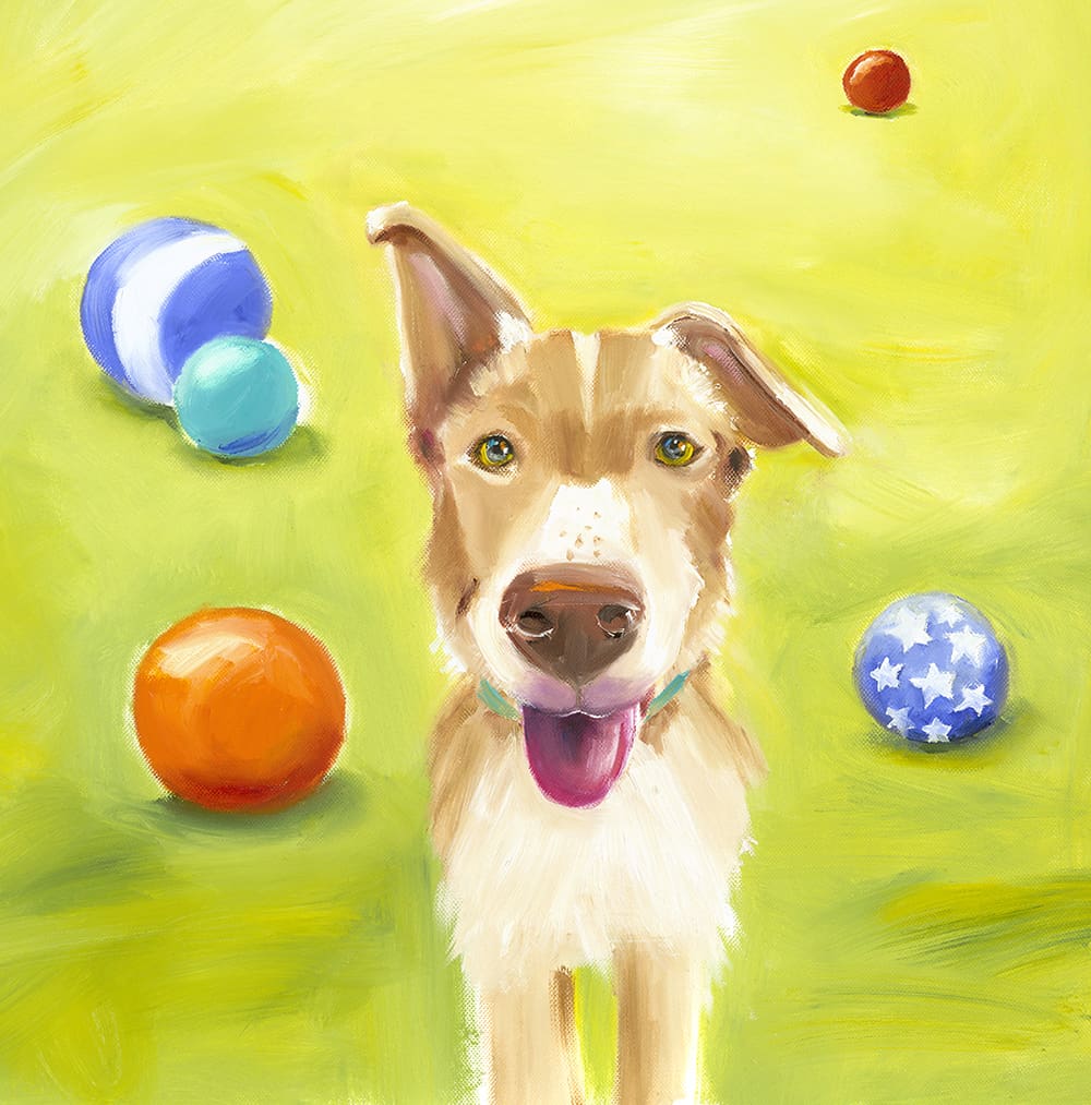 Dog Day 3